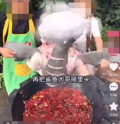 爆料网红提子视频下载,独家攻略大公开! 第1张 爆料网红提子视频下载,独家攻略大公开! 第1张