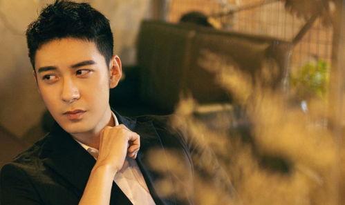 娱乐圈爆料 陈星旭,娱乐圈爆料背后的真相与争议  第3张